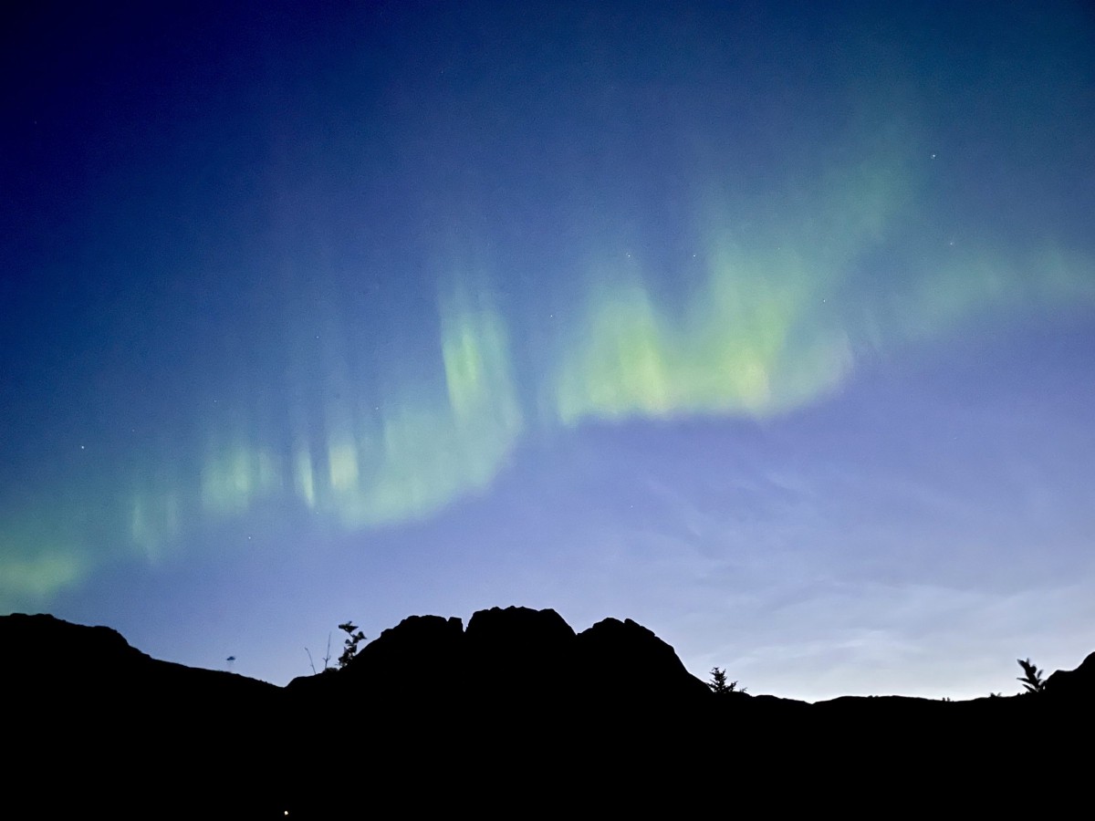 La Norvege : le pays du libre-service ?